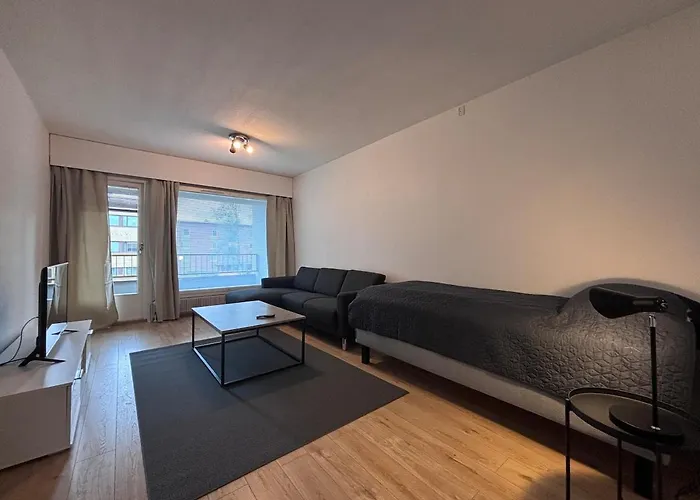 Kotimaailma - Cozy And Spacious Daire Seinäjoki